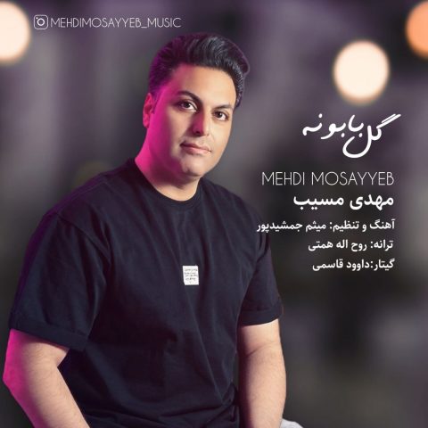 دانلود آهنگ مهدی مسیب گل بابونه دانلود آهنگ مهدی مسیب گل بابونه